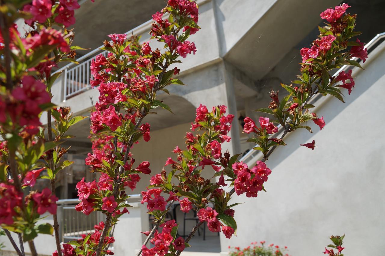 Apartments Marija Tivat Exterior photo